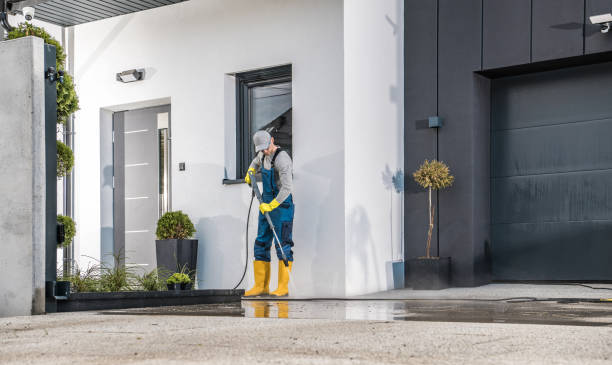 Best House Exterior Washing  in Ben Bolt, TX